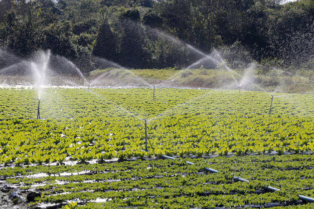 water management img